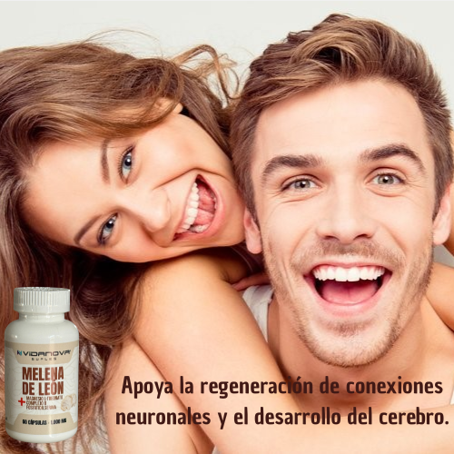 MELENA DE LEON, ESTIMULA LA CONEXION NEURONAL Y LA CLARIDAD MENTAL. REDUCE EL TDH Y EL ALZHAIMER