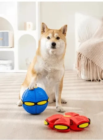 PELOTA FRISBY ANTIESTRES