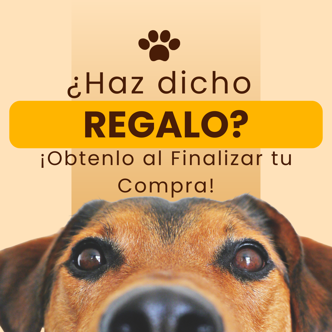 Botella Dispensadora 3 En 1 Para Mascota