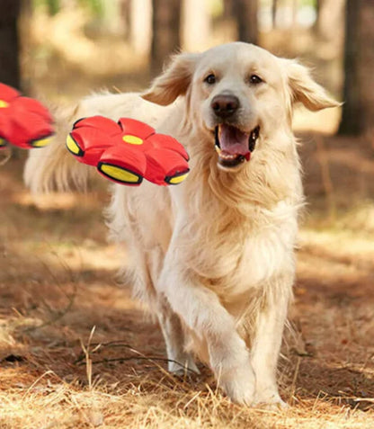 PELOTA FRISBY ANTIESTRES